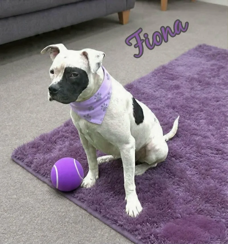 Fiona thumbnail 3