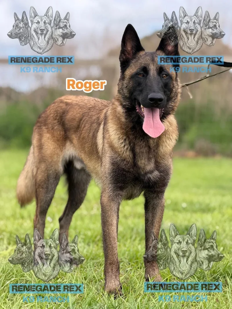 Roger thumbnail 2