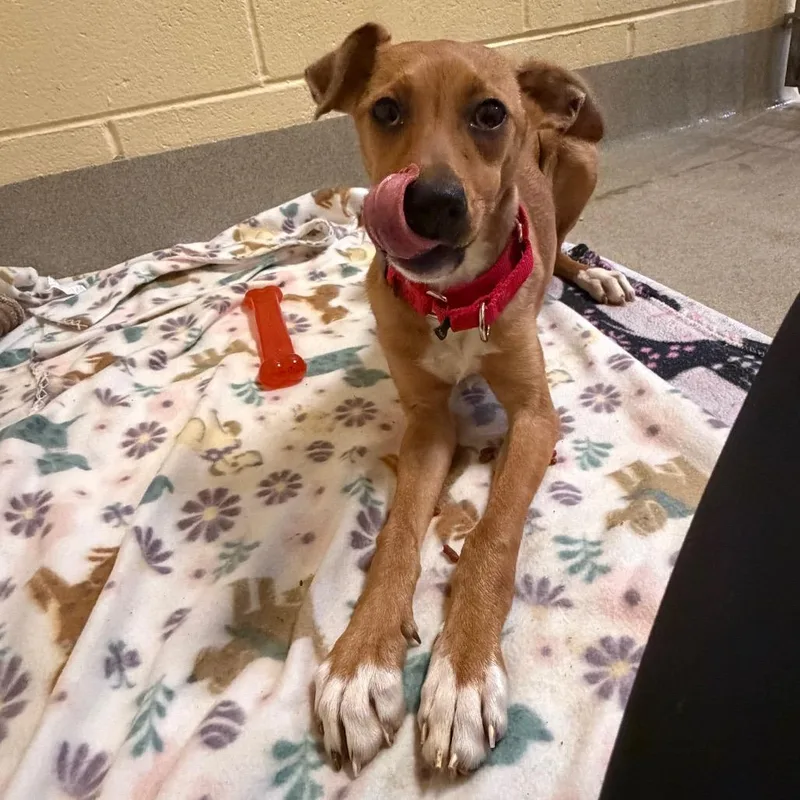 Saranghae thumbnail 2