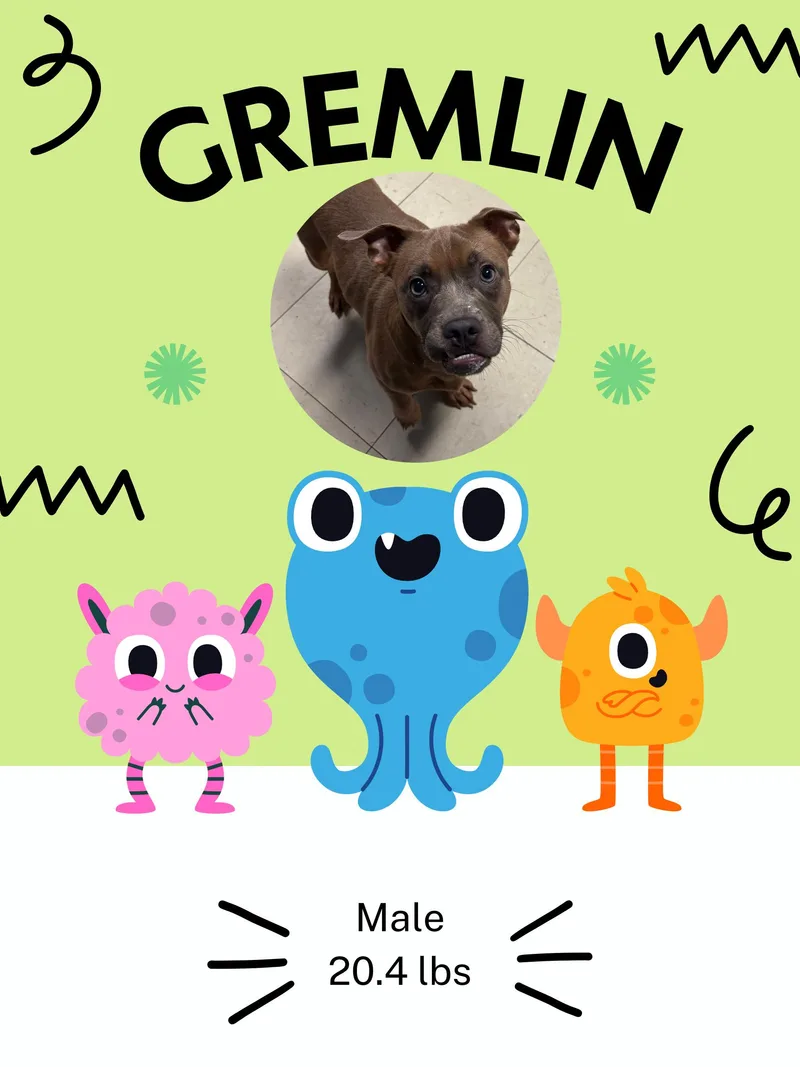 Gremlin