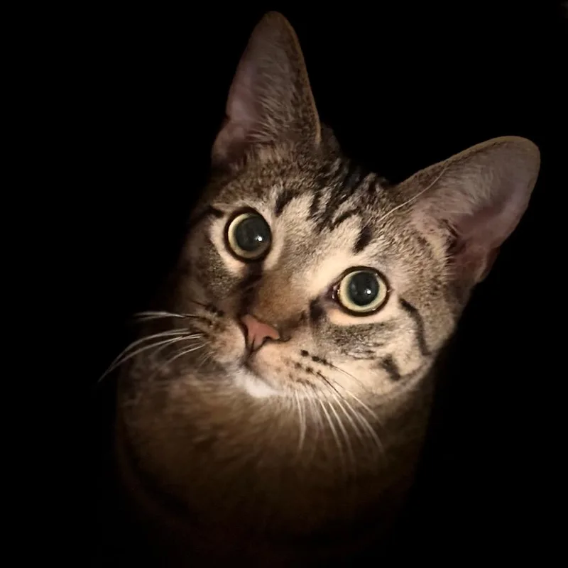Luca