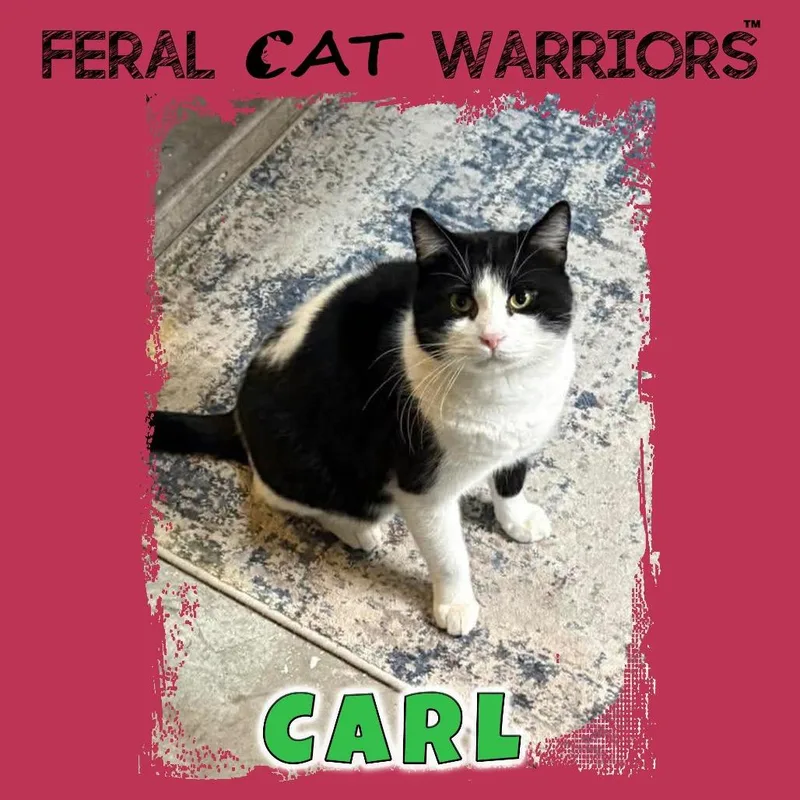 Carl