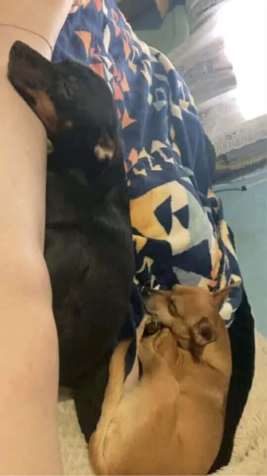 Hotel : Hampton thumbnail 3