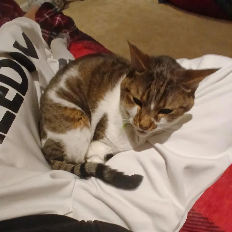 Miller thumbnail 2