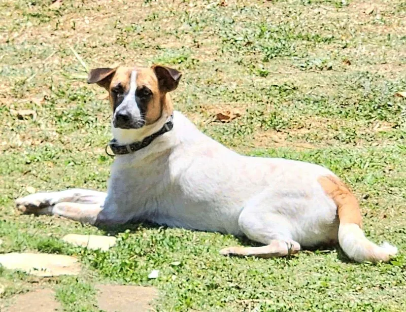 Clara Eve "i Am thumbnail 4