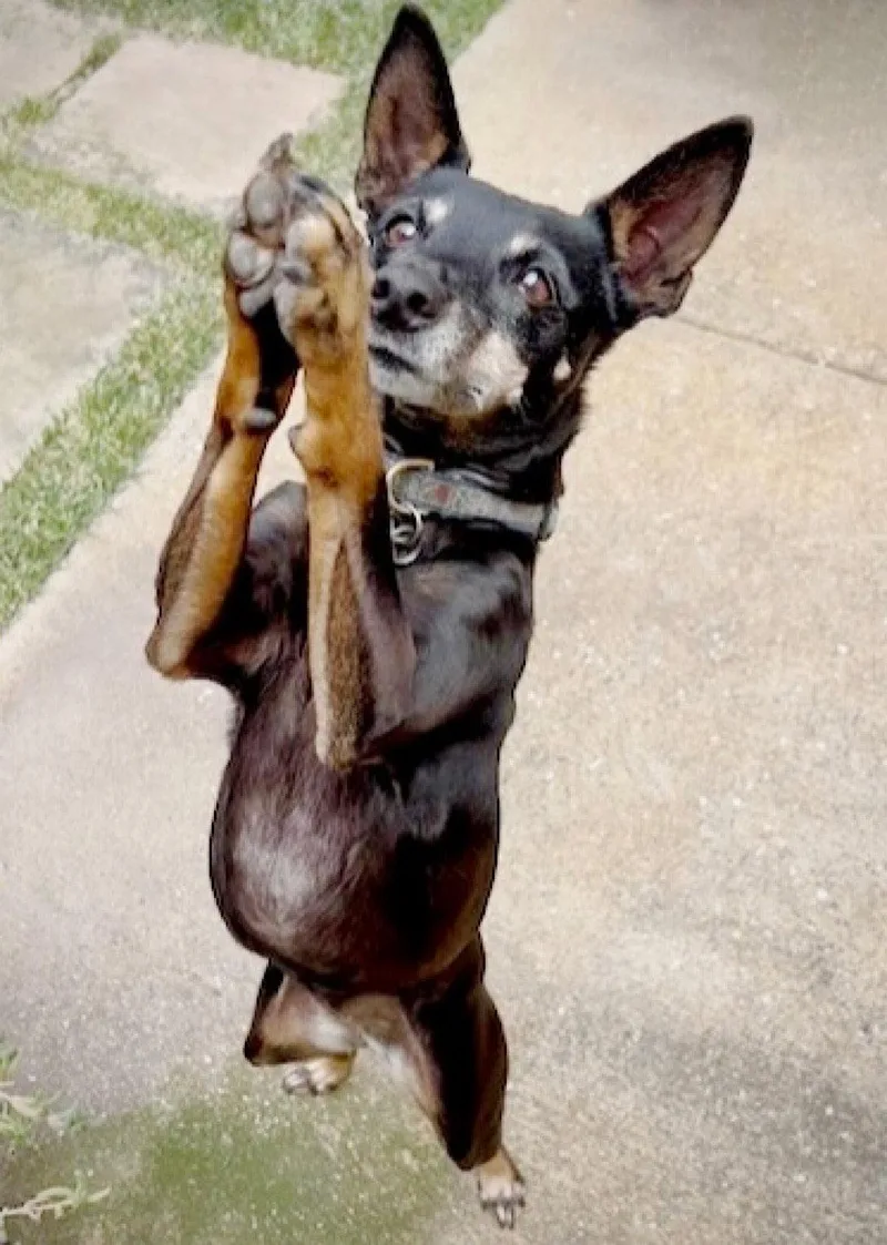 Lola thumbnail 3