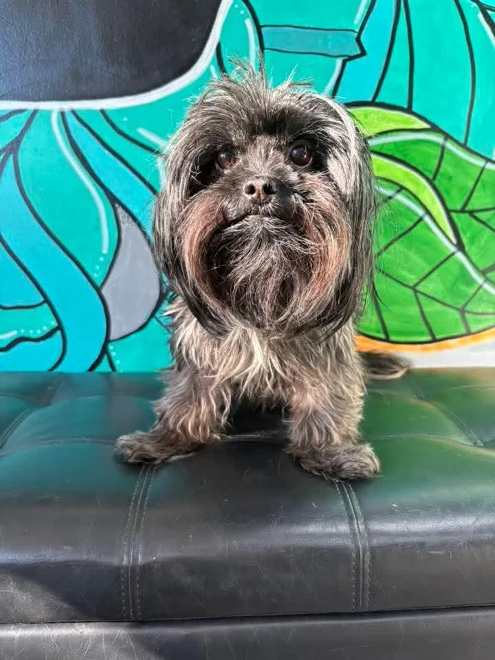 Ethel thumbnail 2