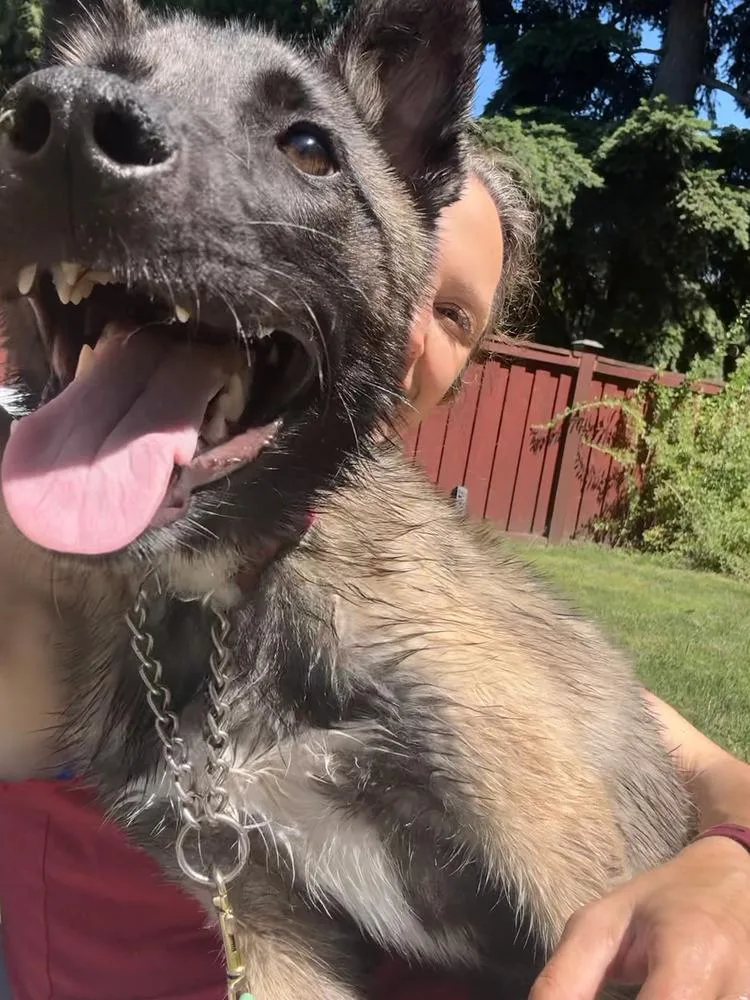 Echo  Located in thumbnail 2