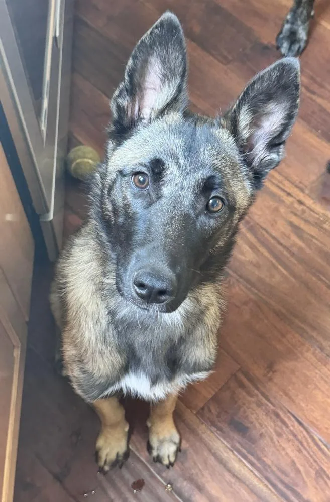 Echo  Located in thumbnail 3