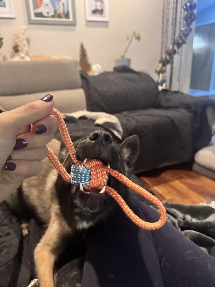 Echo  Located in thumbnail 5