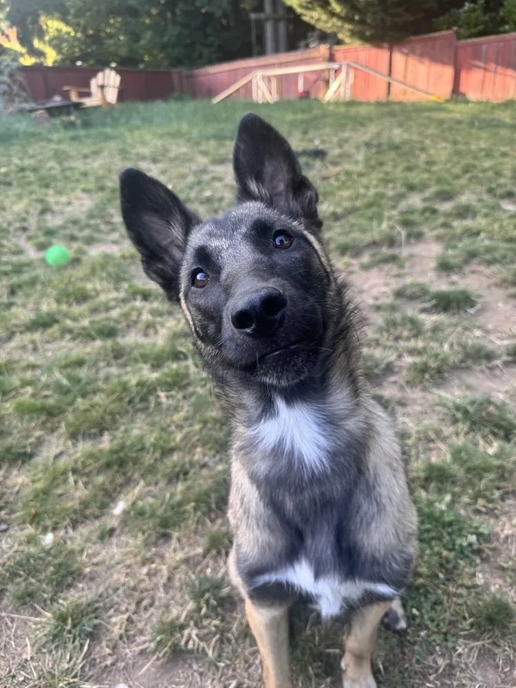 Echo  Located in thumbnail 6