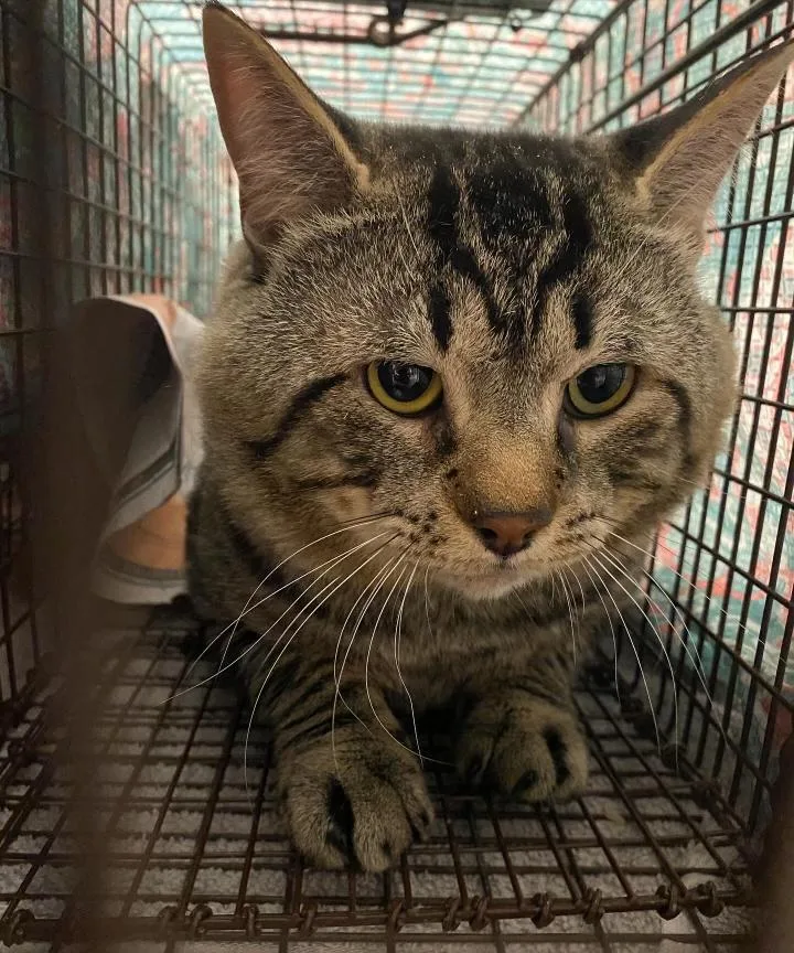 Saturday thumbnail 2