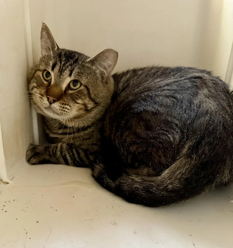 Saturday thumbnail 3