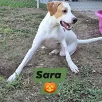 Sara thumbnail 3