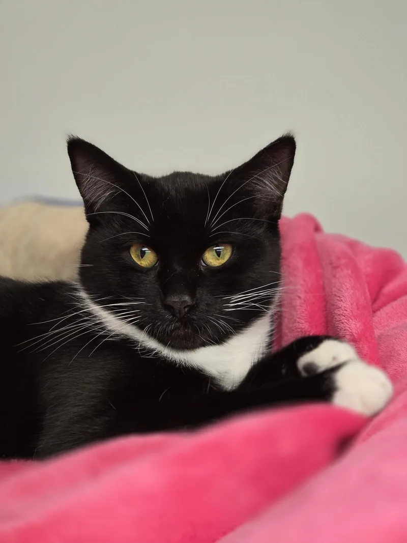 Tilly thumbnail 3