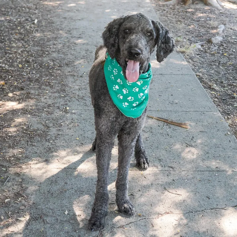 Fredrick thumbnail 3