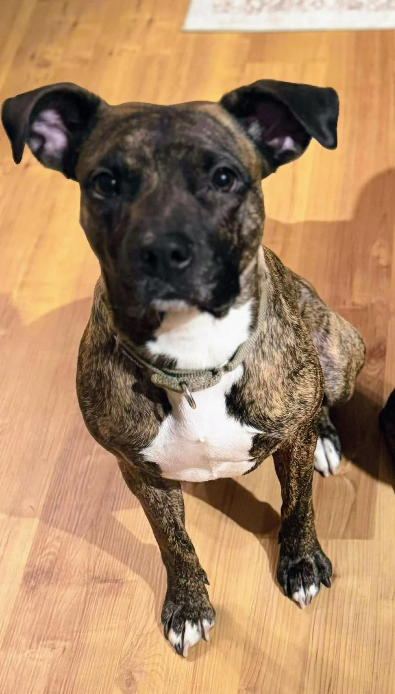 Florence thumbnail 3