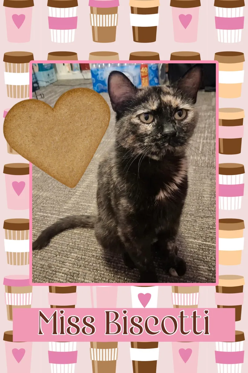Biscotti