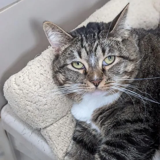 Izzy Biggs thumbnail 2