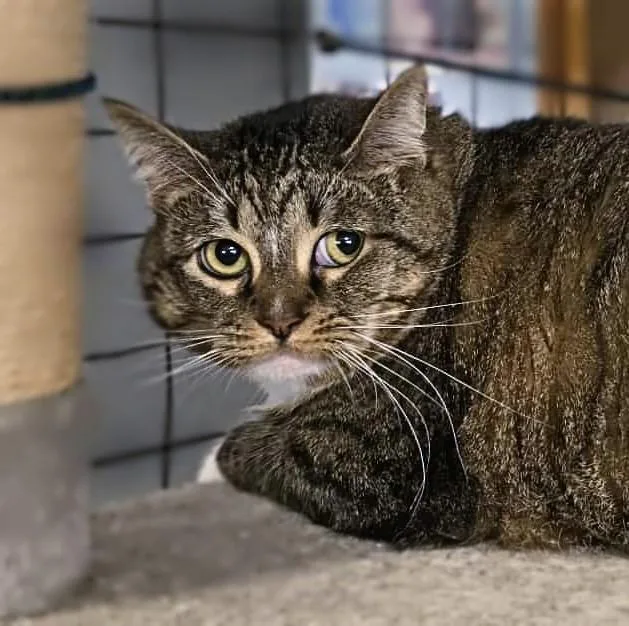 Izzy Biggs thumbnail 3