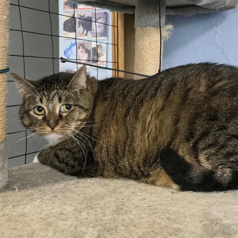 Izzy Biggs thumbnail 4