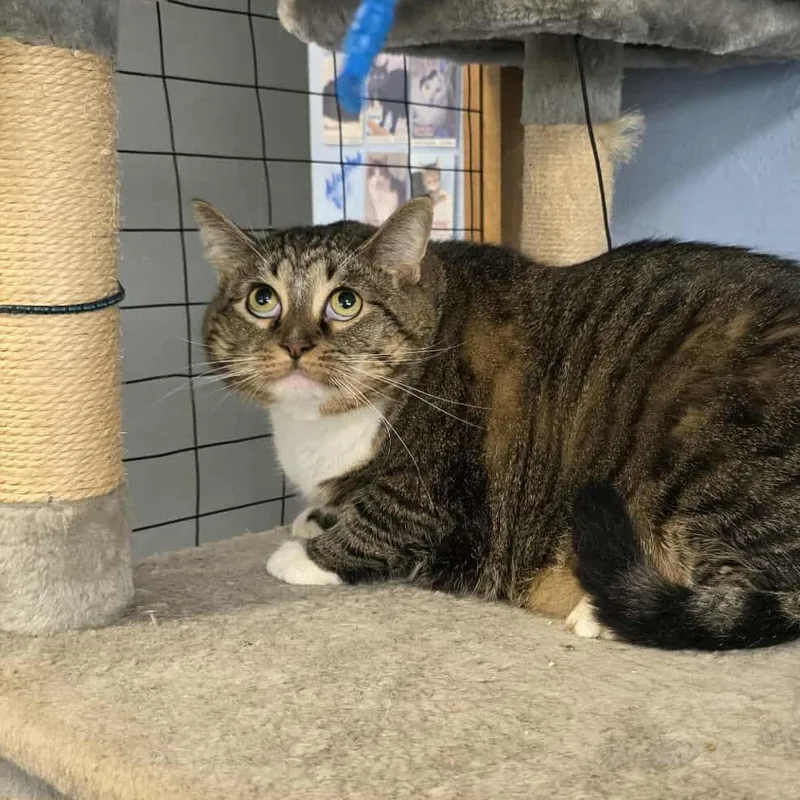 Izzy Biggs thumbnail 5