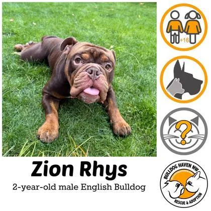 Zion Rhys thumbnail 2