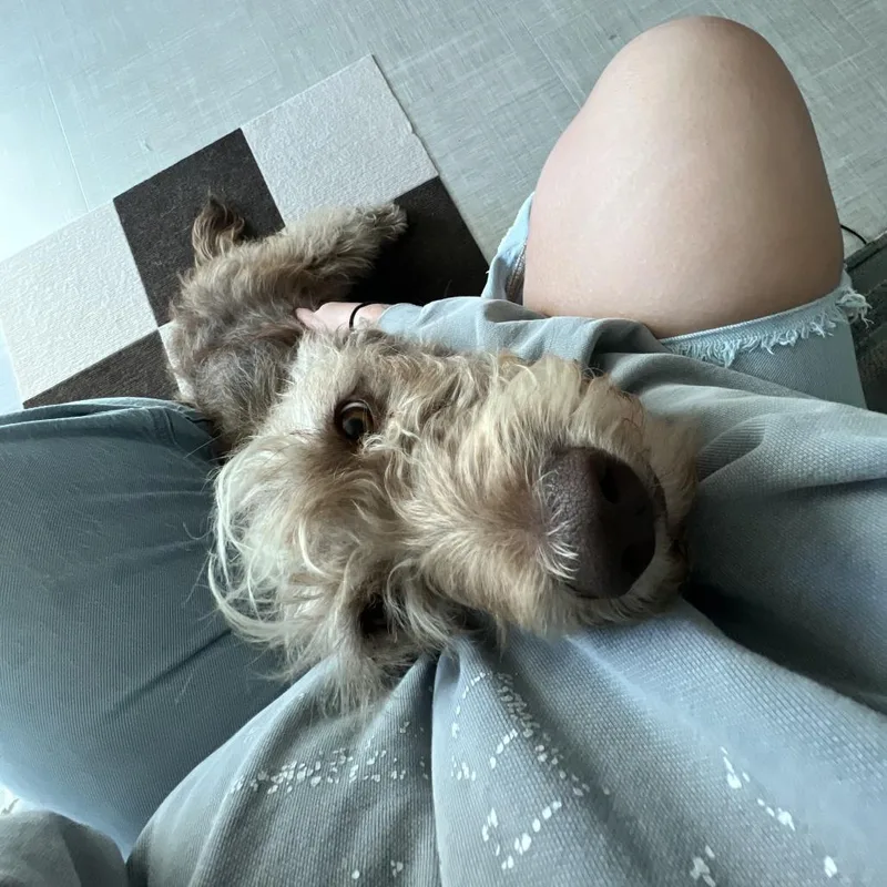 Gus thumbnail 2