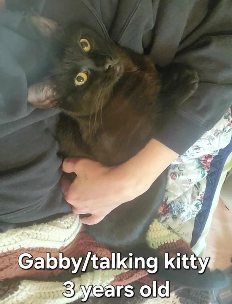 Gabby