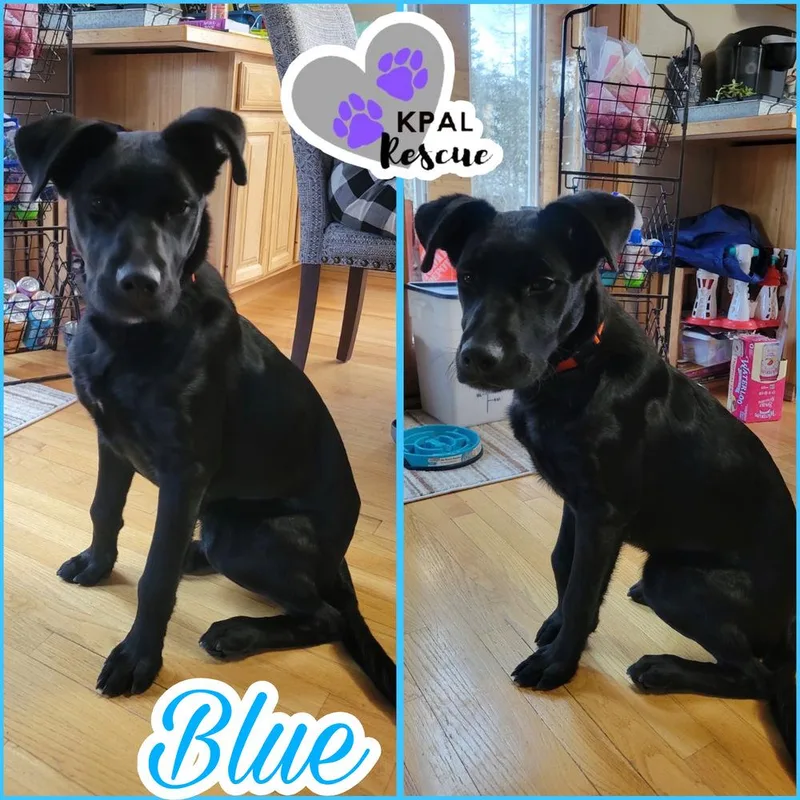 Blue