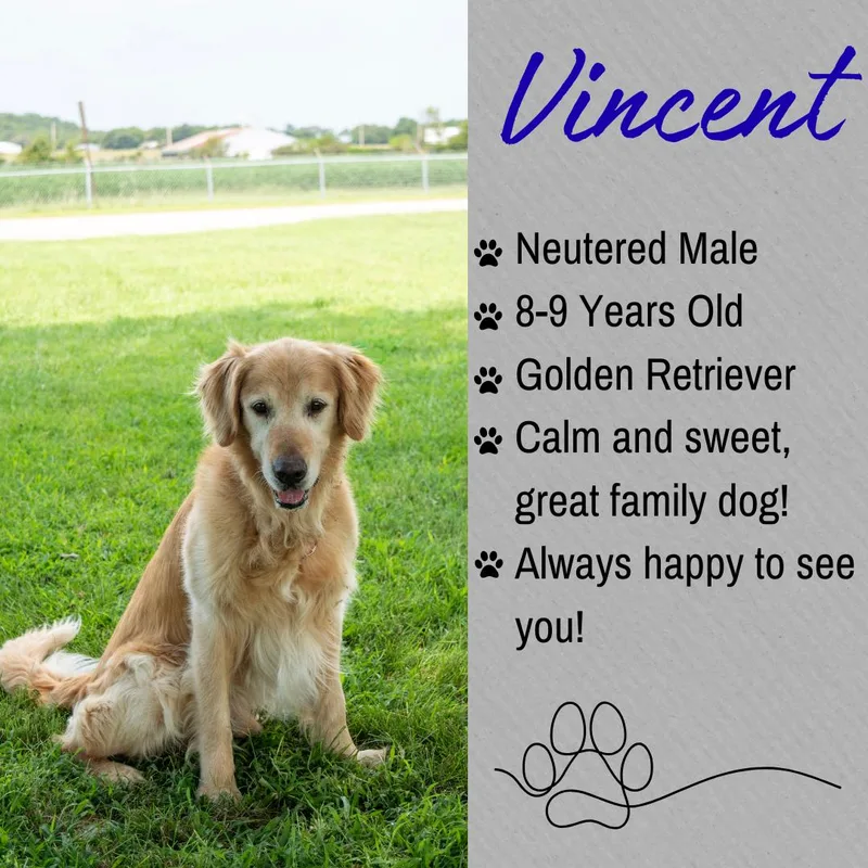 Vincent