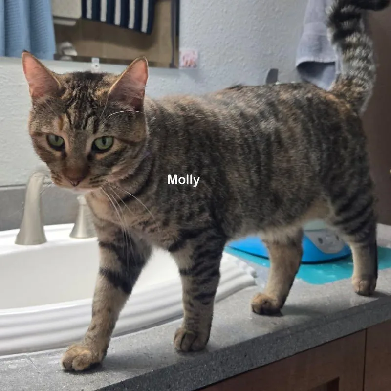 Molly