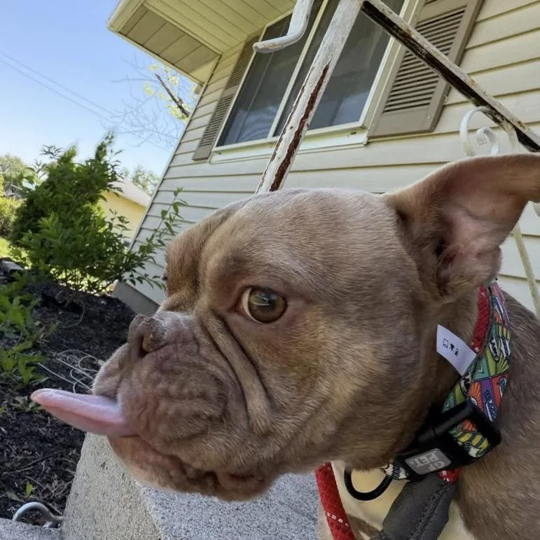 Wink thumbnail 2