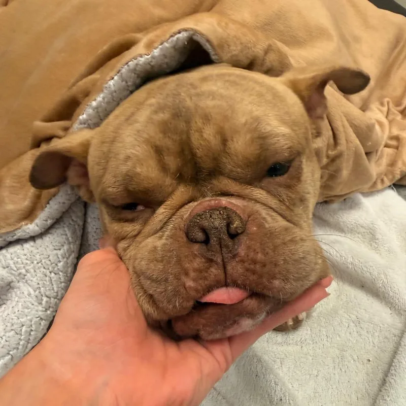 Wink thumbnail 4