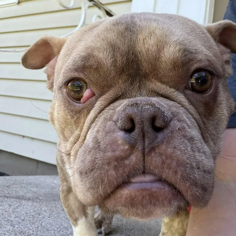 Wink thumbnail 6