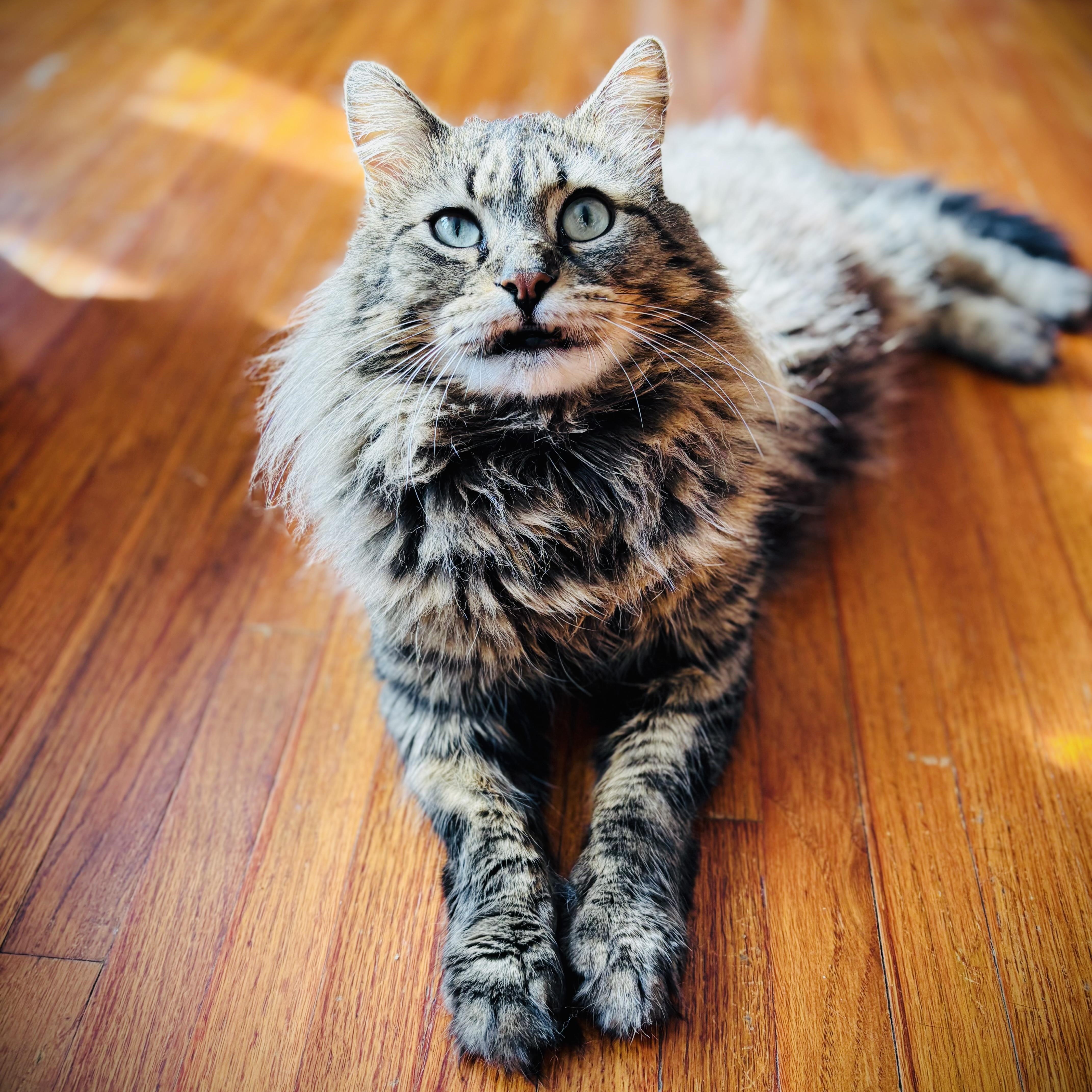 Chandler thumbnail 2