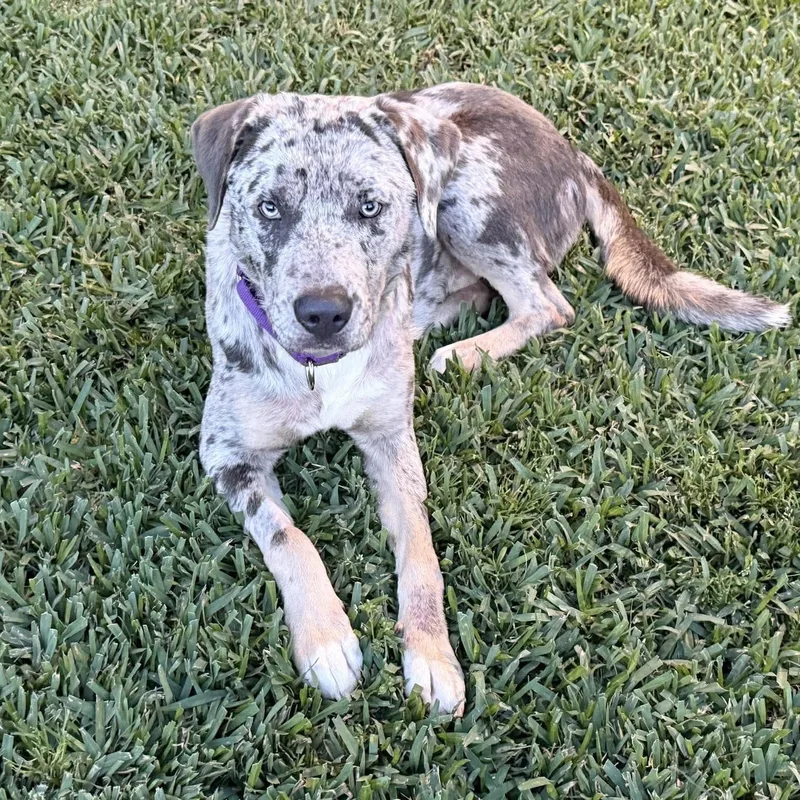 Gorgeous Tex