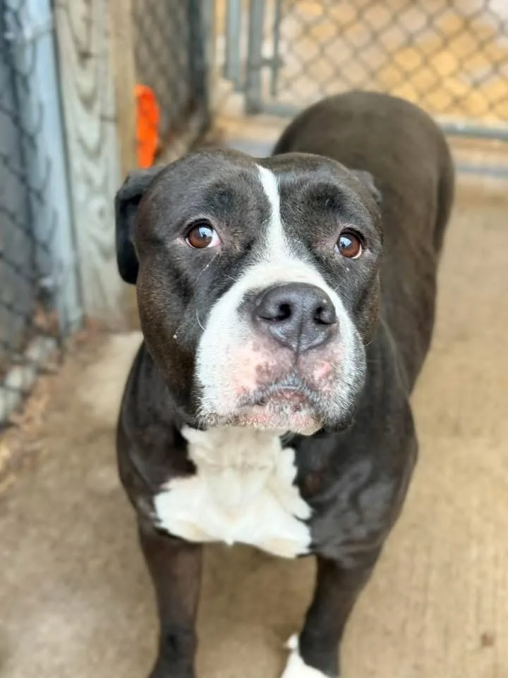 California thumbnail 2