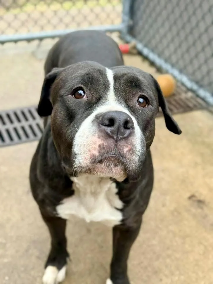 California thumbnail 3