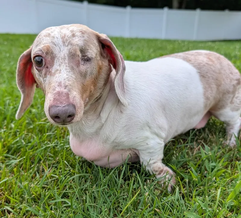 Coco in TN thumbnail 2