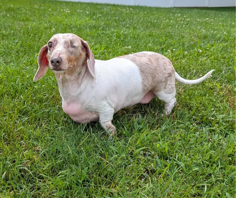 Coco in TN thumbnail 3