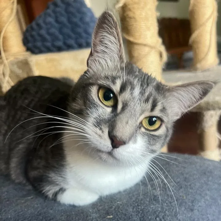 Craycray thumbnail 2