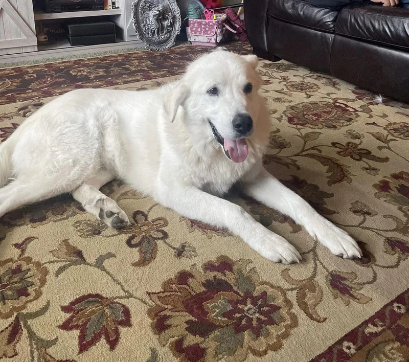 Sokkaodin thumbnail 2