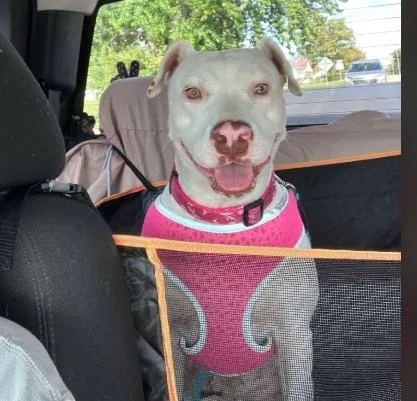 Little Bit thumbnail 2