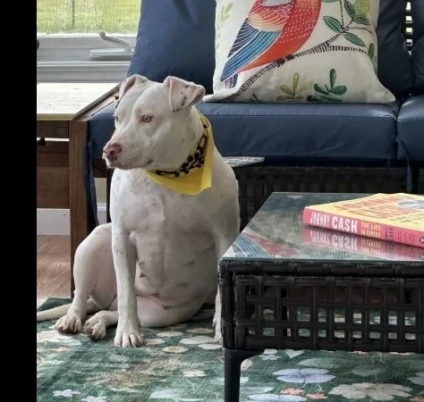 Little Bit thumbnail 3