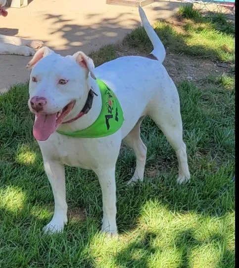 Little Bit thumbnail 4