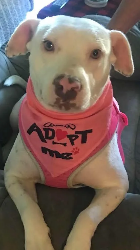 Little Bit thumbnail 5