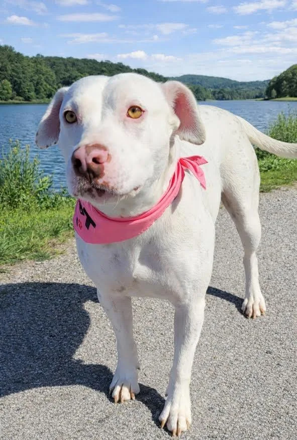 Little Bit thumbnail 6