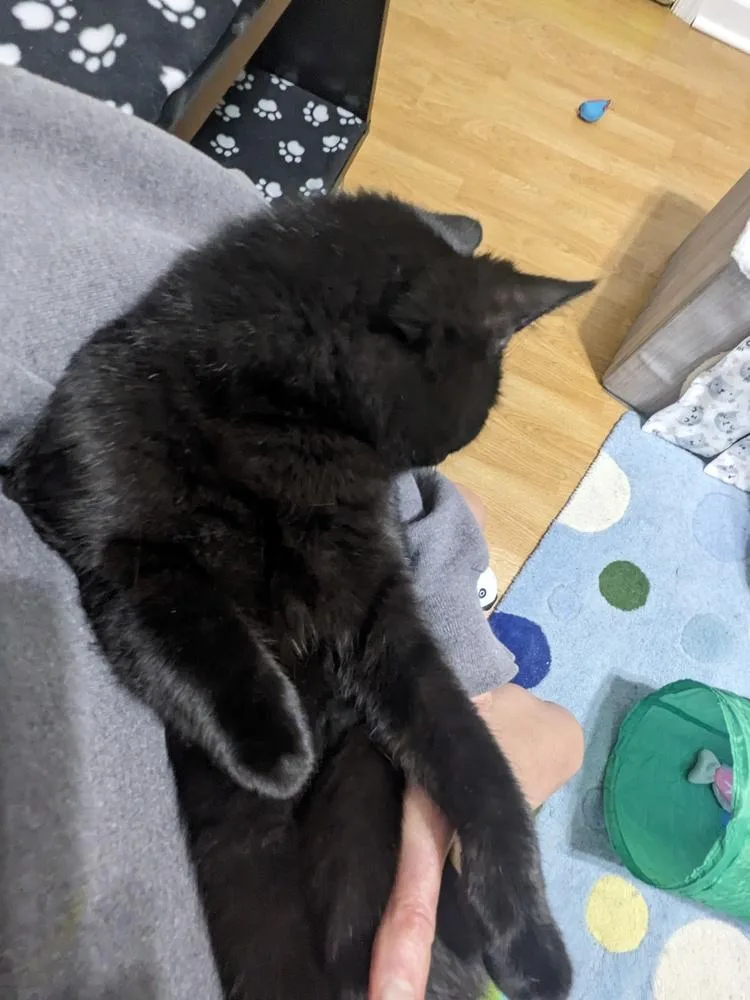 Cooper Sheppard thumbnail 2