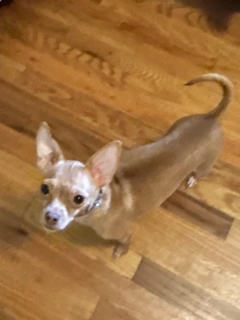 Katie
